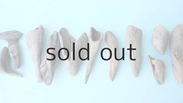 画像3: 変形流木セット (3)