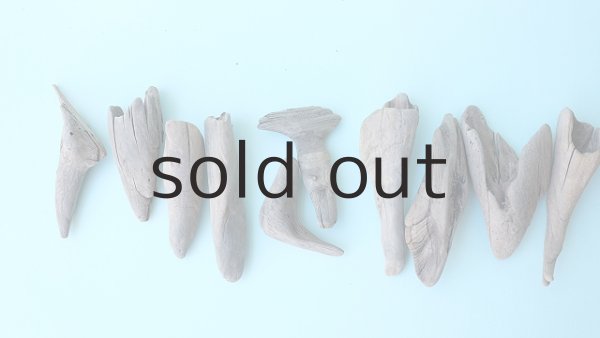 画像2: 変形流木セット (2)