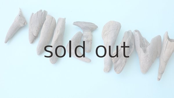 画像5: 変形流木セット (5)