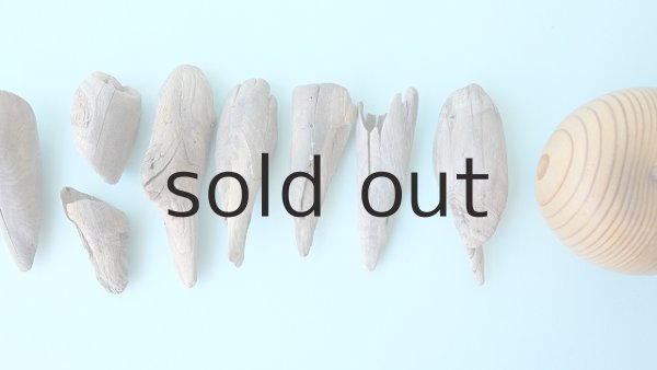 画像4: 変形流木セット (4)