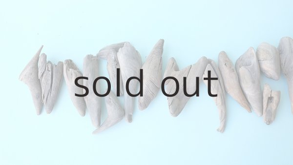 画像8: 変形流木セット (8)