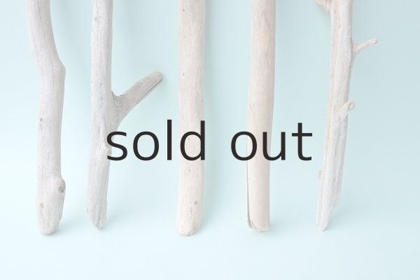 画像5: 小枝流木セット (5)