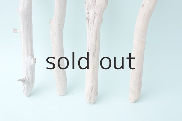 画像2: 小枝流木セット (2)