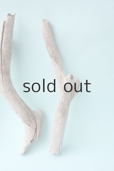 画像4: 小枝流木セット (4)