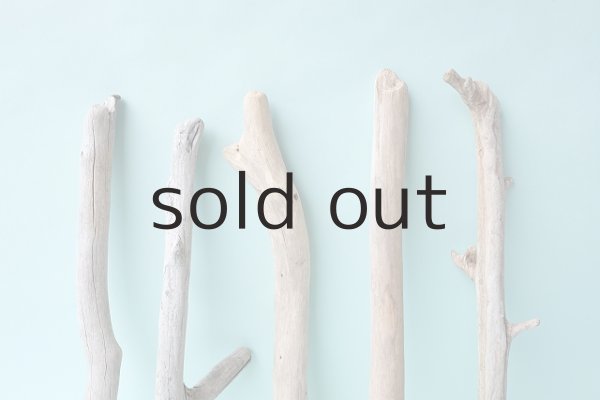 画像6: 小枝流木セット (6)