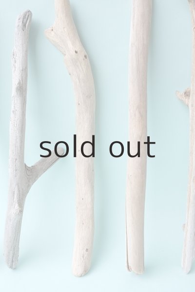 画像3: 小枝流木セット (3)