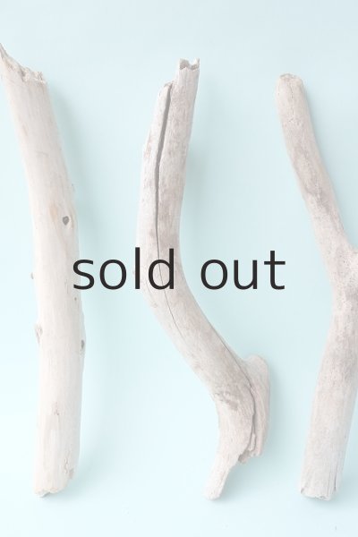 画像3: 小枝流木セット (3)