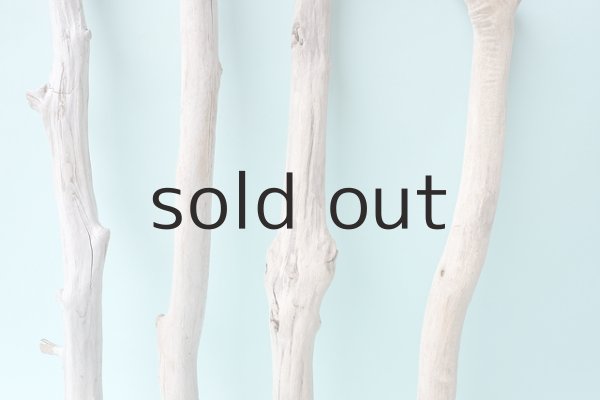 画像3: 小枝流木セット (3)