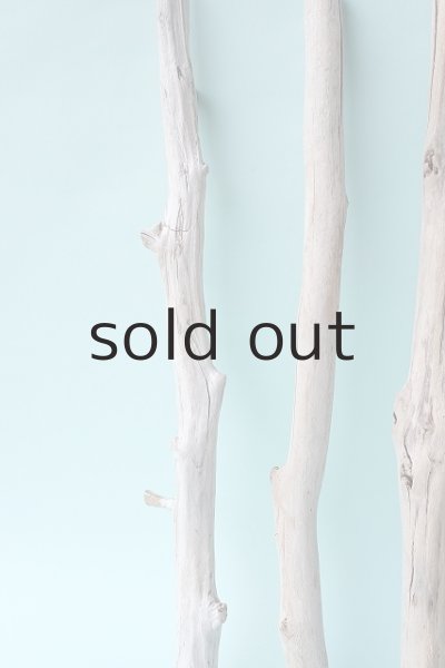 画像5: 小枝流木セット (5)