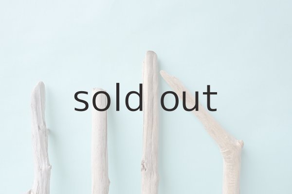 画像4: 小枝流木セット (4)