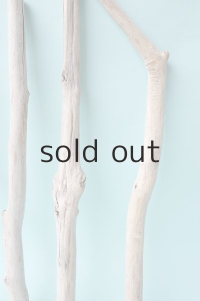 画像6: 小枝流木セット (6)