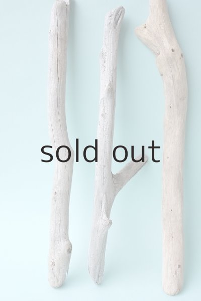 画像2: 小枝流木セット (2)