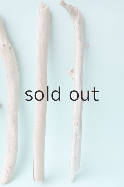 画像4: 小枝流木セット (4)