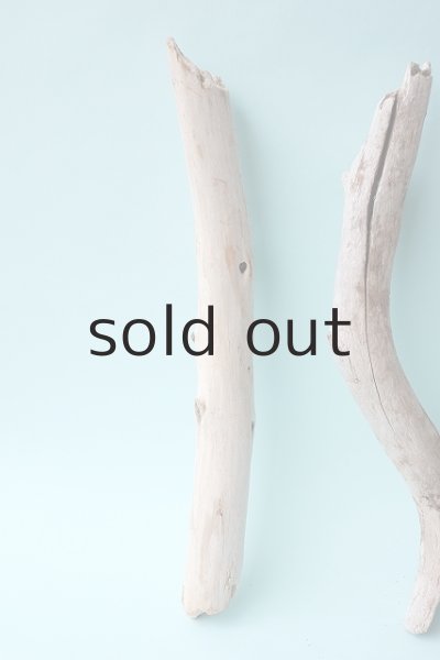 画像2: 小枝流木セット (2)