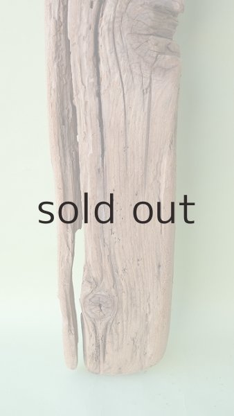 画像2: 板流木 (2)