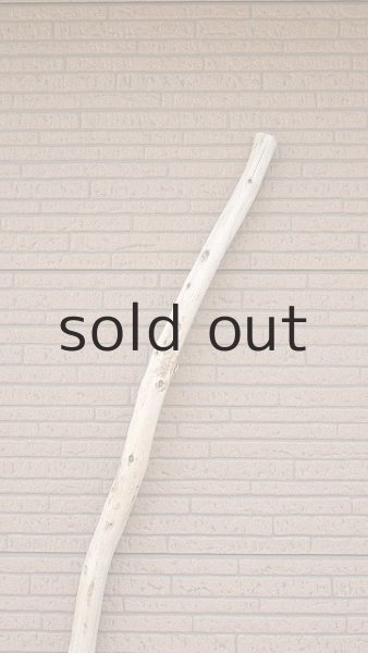 画像4: 棒流木・長尺 (4)