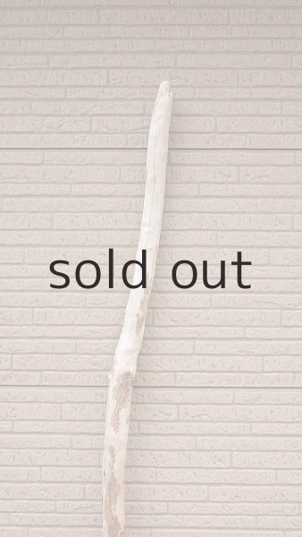 画像4: 棒流木・長尺 (4)