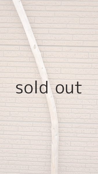 画像3: 棒流木・長尺 (3)