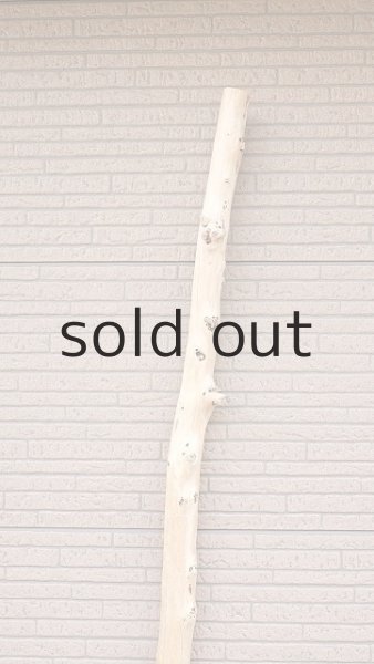 画像4: 棒流木・長尺 (4)