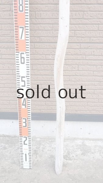 画像5: 棒流木・長尺 (5)