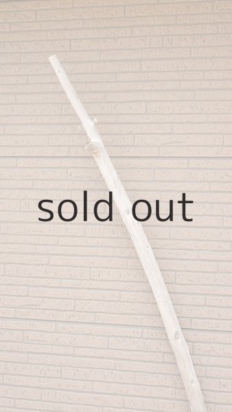 画像4: 棒流木・長尺 (4)