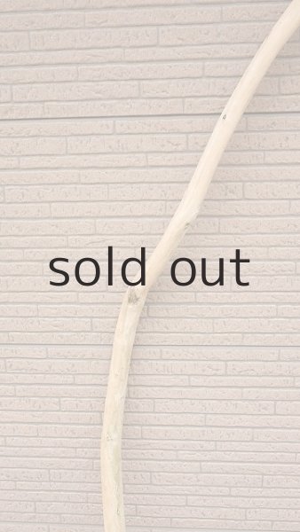 画像3: 棒流木・長尺 (3)