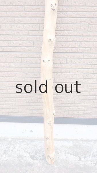 画像2: 棒流木・長尺 (2)