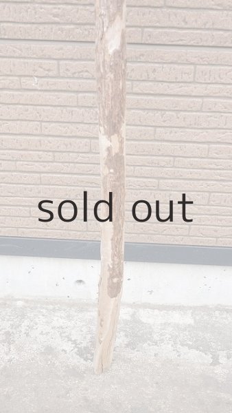 画像2: 棒流木・長尺 (2)