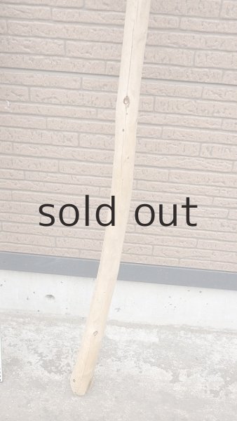 画像5: 棒流木・長尺 (5)