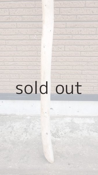 画像2: 棒流木・長尺 (2)