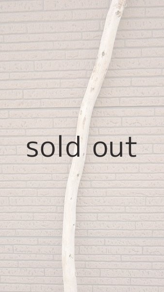 画像3: 棒流木・長尺 (3)