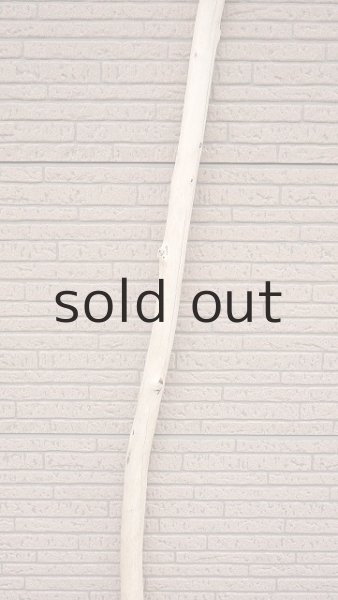 画像3: 棒流木・長尺 (3)