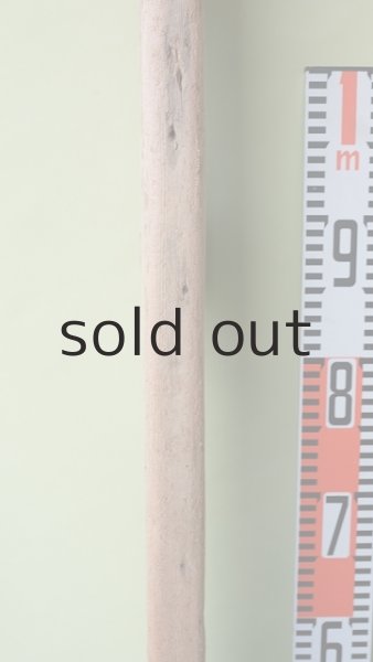 画像6: 板流木 (6)