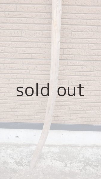 画像2: 棒流木・長尺 (2)