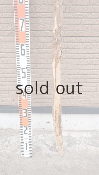 画像5: 棒流木・長尺 (5)