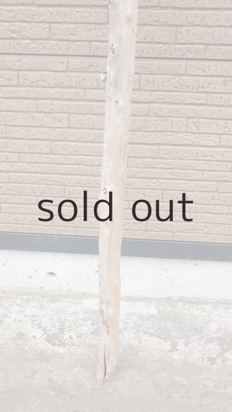 画像2: 棒流木・長尺 (2)