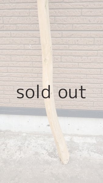 画像2: 棒流木・長尺 (2)