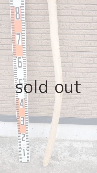 画像5: 棒流木・長尺 (5)