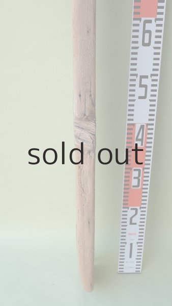 画像7: 板流木 (7)