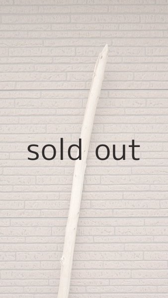 画像4: 棒流木・長尺 (4)