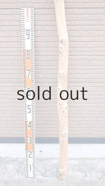 画像5: 棒流木・長尺 (5)