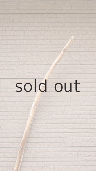 画像4: 棒流木・長尺 (4)