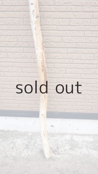 画像2: 棒流木・長尺 (2)