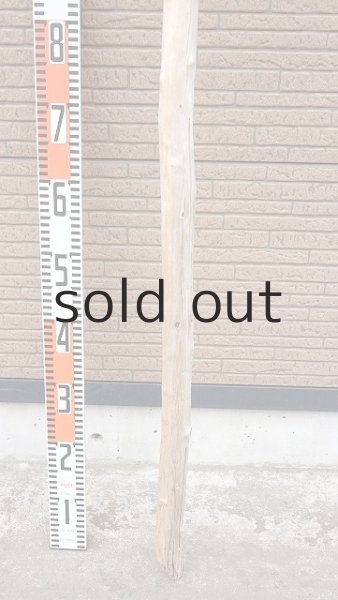 画像5: 棒流木・長尺 (5)