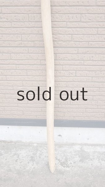 画像2: 棒流木・長尺 (2)