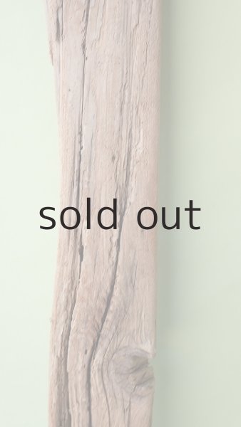 画像3: 板流木 (3)