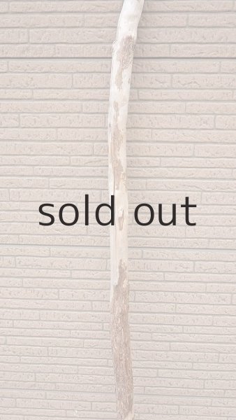 画像3: 棒流木・長尺 (3)