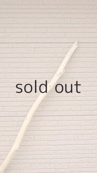 画像4: 棒流木・長尺 (4)