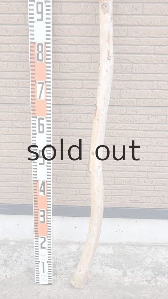 画像5: 棒流木・長尺 (5)