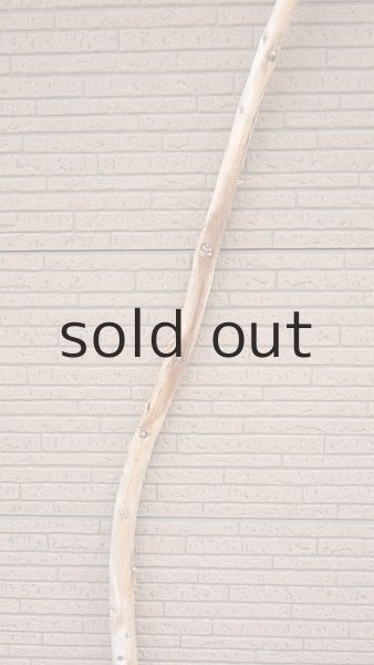 画像3: 棒流木・長尺 (3)